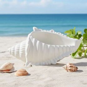 κοχύλι διακοσμητικό χώρου